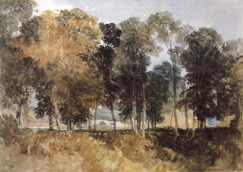 Joseph Mallord William Turner Forest oil painting image